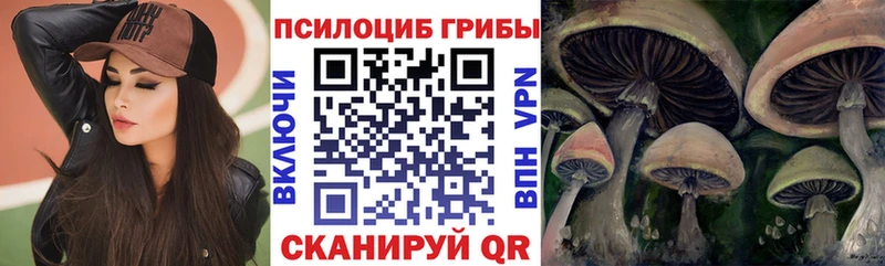 Галлюциногенные грибы MAGIC MUSHROOMS  Северо-Курильск 